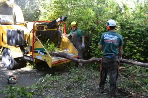 tree services Badger